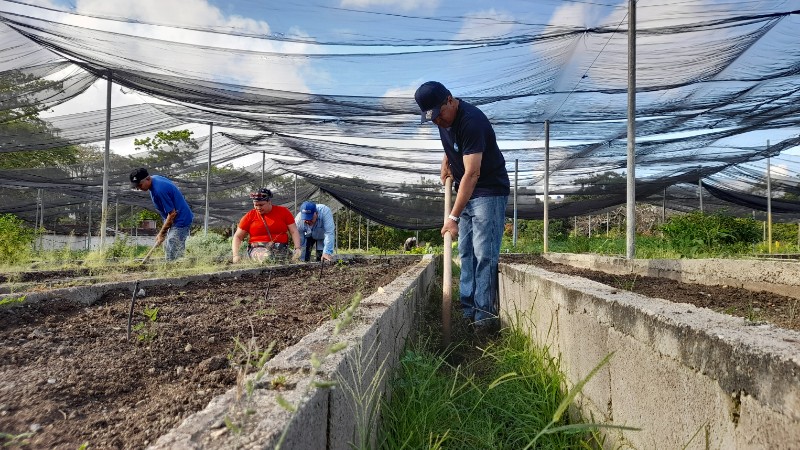 Arbeiter aus Holguin