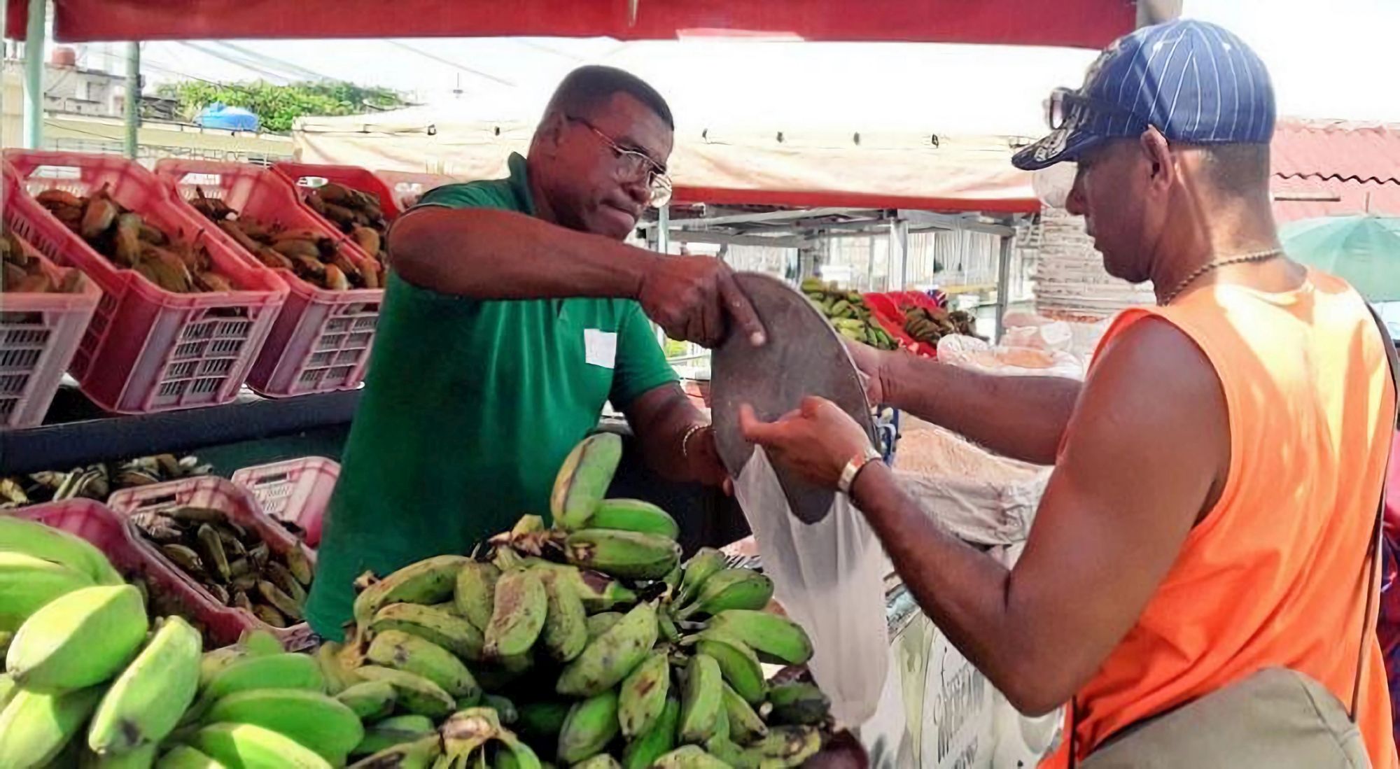 Landwirtschaftsmarkt in Havanna